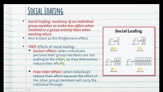 3 Social Loafing  Stage 1 Psychology [upl. by Edee516]