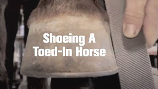 Farrier Quick Takes Dave Farley Shoeing A ToedIn Horse [upl. by Noell154]