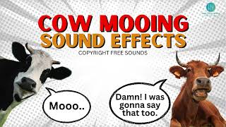 Cow Mooing Sound Effect  Realistic High Quality Sounds [upl. by Farman]