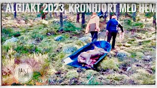 Älgjakt 2023 med kron i pass [upl. by Quinta]