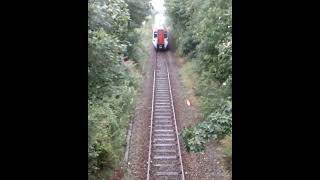 Class 197 passing under camera  walestrainspotting class197 train transportforwales cymru gb [upl. by Sloane636]