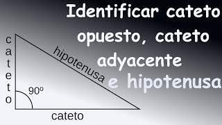 Identificar cateto opuesto cateto adyacente e hipotenusa [upl. by Shandee]