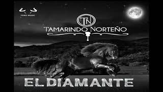 EL CORRIDO DEL DIAMANTE  TAMARINDO NORTEÑO [upl. by Laehcimaj]