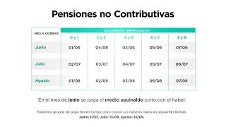 Pensiones no Contributivas junio  agosto 2018 [upl. by Joslyn454]