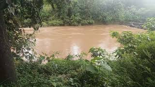 Dudhsagar Farm amp Villas Goa Where River Mountain amp Cloud is Calling [upl. by Hgielram]