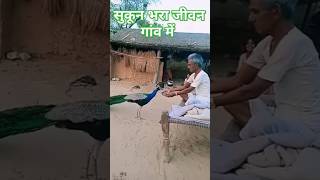 jesi kerni vesi bharnivillagelife reals trading blog viral shortsvideo like subscribe💕🥰🙏👑💕🥰 [upl. by Mayda]