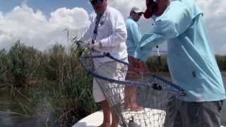 Saltwater Fishing in Louisiana  1405 [upl. by Pascasia]