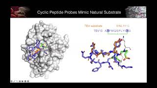 Matt Bogyos 20240320 Antiviral Drug Discovery AViDD Open Science Forum Talk [upl. by Yorel334]