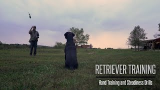 Formal Hand Training and Steadiness With Your Gundog  Hunting Dog Training [upl. by Ekim662]