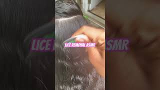 Lice Removal ASMR l small business explore hair nomorelice [upl. by Jallier]