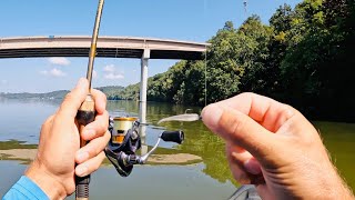 Ultralight Fishing with Gulp Minnows  3 Hours RAW and UNCUT  Fort Loudoun Reservoir [upl. by Acirtal]