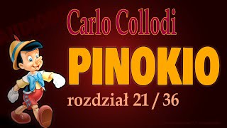 PINOKIO AUDIOBOOK  C Collodi  rozdział 2136  Pinokio zostaje złapany przez wieśniaka [upl. by Aneladgam430]