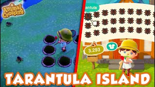 How To Find TARANTULA ISLAND  in Animal Crossing New Horizons [upl. by Enaerb]