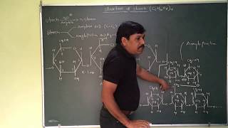 Structure Of Amylose and Amylopectin Starch [upl. by Lad]