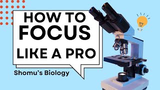 How to focus a microscope  Microscope focusing steps  How to use a microscope [upl. by Eciruam]