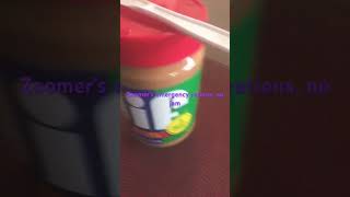 Zoomers food plan for ApocalypseCreativeRedundancy food budgetmeal inflation peanutbutter [upl. by Nyletac1]