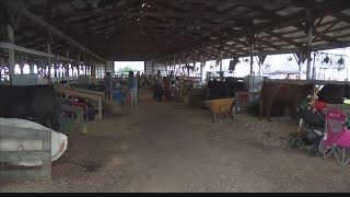 Warrick County Fair underway [upl. by Denten]