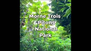 Morne Trois Pitons National Park [upl. by Clyde507]