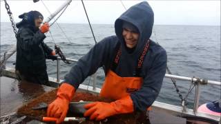 Makah Longline Fishing [upl. by Ellenej]