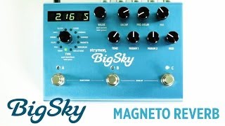 Strymon BigSky  Magneto Reverb machine audio demo [upl. by Elamaj854]