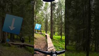 This is a Blue Morzine trails grade different mtb morzine [upl. by Latoye85]