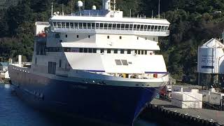 Interislander Kaitaki  Wellington to Picton 🛳 [upl. by Vivl]