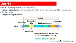 Regulación en Procariotas Parte 1 [upl. by Roselyn108]