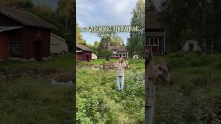 Schwedenhaus Renovierung Woche 4 🏡🌳 schwedenhaus renovierung schweden hausrenovierung [upl. by Sucirdor]