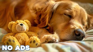 12 Hours Anti Anxiety Music for Dogs 🐶 Stress Relief Music For Dogs ♬ Calming Music For Dogs [upl. by Wilden]