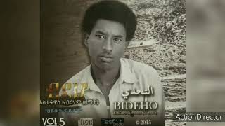 Estifanos Abraham Zemach  Bdho Eritrean Music [upl. by Devlen]