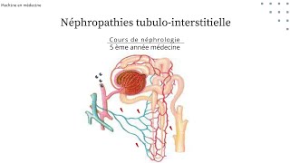 Néphropathie tubulointerstitielle chronique quotNTICquot nephro [upl. by Thirzi]