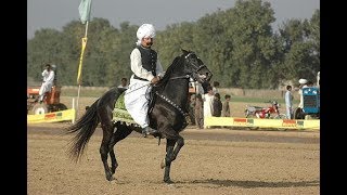 PRINCE OF KOT FATEH KHAN NAWAB MALIK ATTA MUHAMMAD KHAN NAWAB SAHIB RECEIVE PRIZE AT SHAH JAHANIYA [upl. by Lien356]