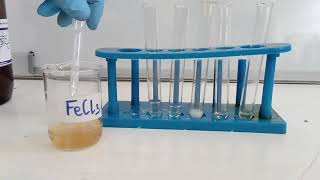 test for carboxylic acids [upl. by Skipton]