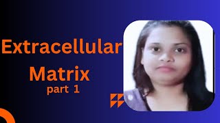 Extracellular Matrix part 1  Components of Extracellular Matrix  Structural Protein  Bsc [upl. by Nadirehs]