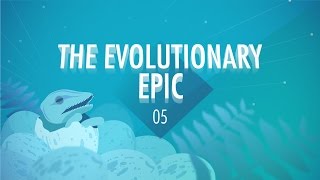 The Evolutionary Epic Crash Course Big History 5 [upl. by Linneman820]