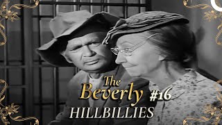 The Beverly Hillbillies  Special Part 16  Classic Hollywood TV Series [upl. by Eidoc]