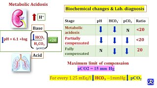 3 Metabolic Acidosis amp Metabolic Alkalosis  Acid Base Balance  Biochemistry [upl. by Ruelu]