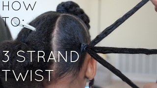 How To 3 Strand Twist  Step by Step [upl. by Jaime]