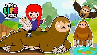 ALL SLOTHS Toca Life World 😵 Toca Boca Sloths Collection [upl. by Josh]