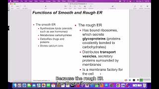 62 Eukaryotic Organelles [upl. by Reinold398]