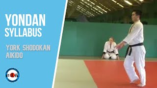 Shodokan Aikido Yondan syllabus  Section 3 Waza vs strikes  pt 2 explanation [upl. by Ahcorb438]