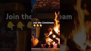 Live 🔴 Cozy Fireplace NO ADS [upl. by Bellina]