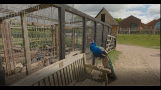 Aldingbourne Country Centre  4K [upl. by Burns]