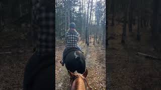 Trail Riding Clips from this Fall [upl. by Anevad104]