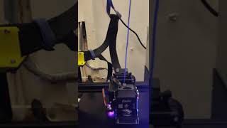 sprite extruder pro ender 3  tpu test print [upl. by Gretal]