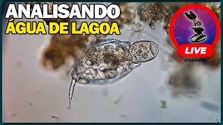 Explorando o incrível mundo microscópico 1 Analisando água de lagoa🔬🦠 [upl. by Adiana384]