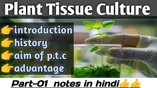 plant tissue culture in hindi tissue culture techniques bsc3rdyear botany [upl. by Hayila]