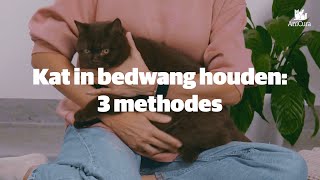 Je kat in bedwang houden 3 methodes [upl. by Bonnee]