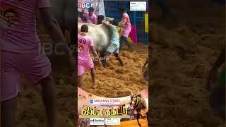 எப்பா என்ன ஆட்டம் ஆடுது வீரர்களை அலறவிட்ட காளை  Palamedu Jallikattu palamedu jallikattu [upl. by Iong649]