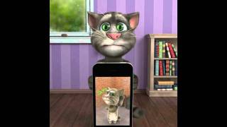 Talking Tom Plays Talking Tom 2 [upl. by Dibbell]